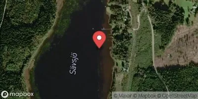 Sävsjön