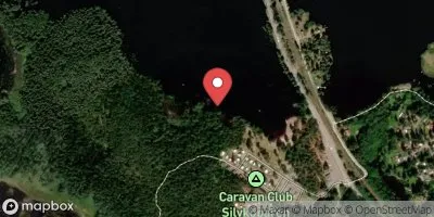 Silvköparens bad