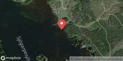 Sjögarpesjön