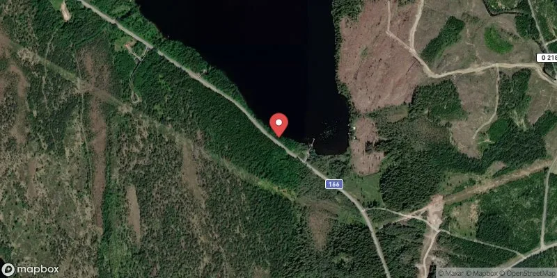 Satellitbild över Skottesjöns badplats i Dals-Ed