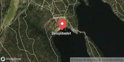 Stora Delsjön