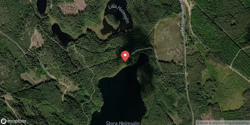 Satellitbild över Stora Holmsjön i Vimmerby