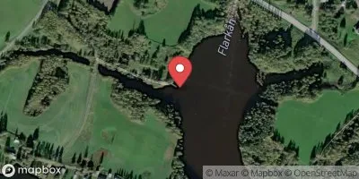 Svartlå