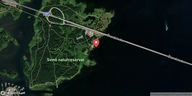 Satellitbild över Svinö i Kalmar