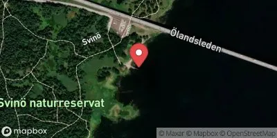 Svinö