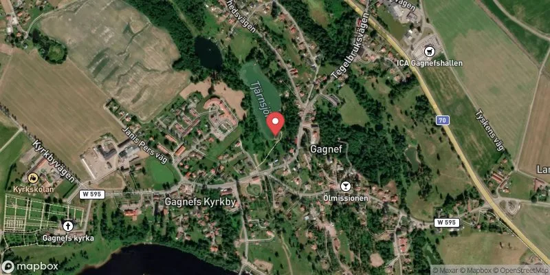 Satellitbild över Tjärnsjön i Gagnef