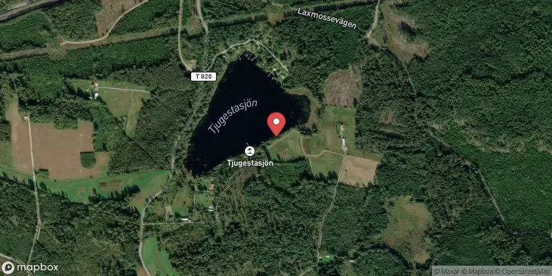 Satellitbild över Tjugestasjön i Örebro