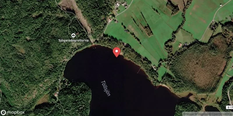 Satellitbild över Töllsjön i Bollebygd