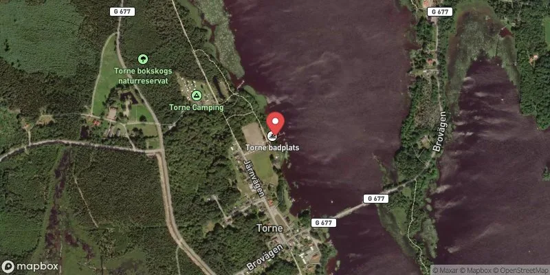 Satellitbild över Torne i Alvesta