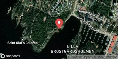 Vänern, Lillängsviken