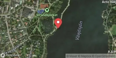 Växjösjön Strandbjörket