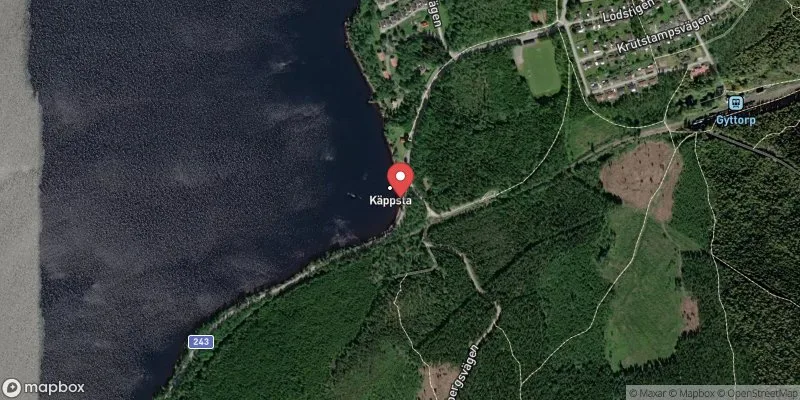 Satellitbild över Vikern, Käppsta i Nora