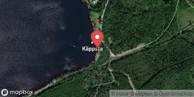 Vikern, Käppsta