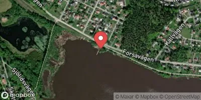 Visnaren, Forsabadet